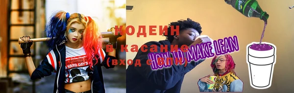 индика Барнаул