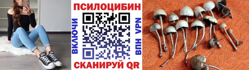 Псилоцибиновые грибы ЛСД Черноголовка