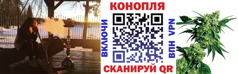 Каннабис Amnesia  МЕГА ТОР  Черноголовка 